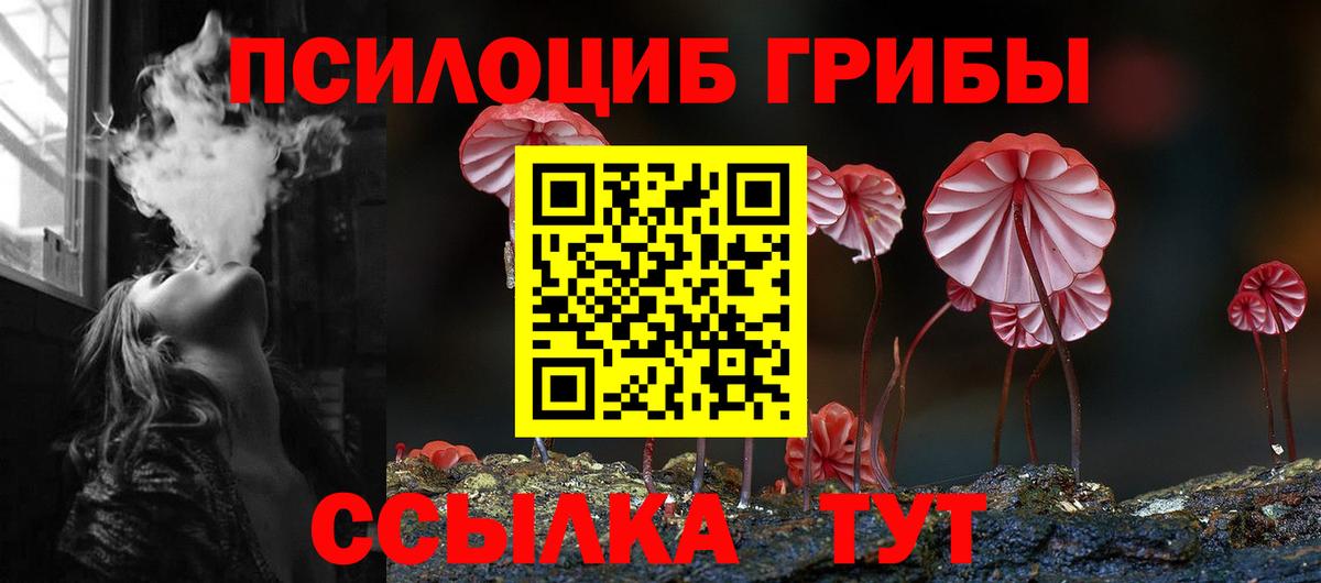 Галлюциногенные грибы Кингисепп