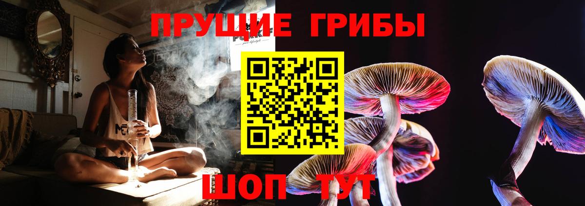Галлюциногенные грибы Cubensis Кингисепп